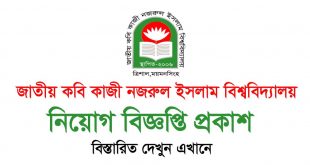 Jatiya Kabi Kazi Nazrul Islam University Job Circular 2022