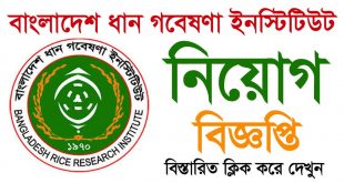 Bangladesh Rice Research Institute Job Circular 2020