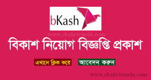 Bkash Limited Job Circular 2022